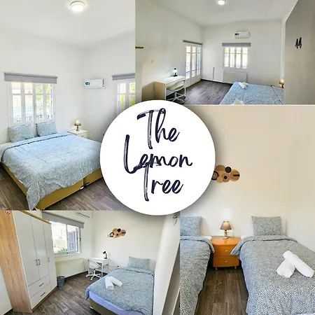 Hostal The Lemon Tree *